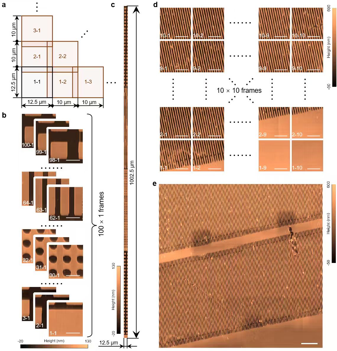 1764225229745979.jpg 拼接成像.jpg