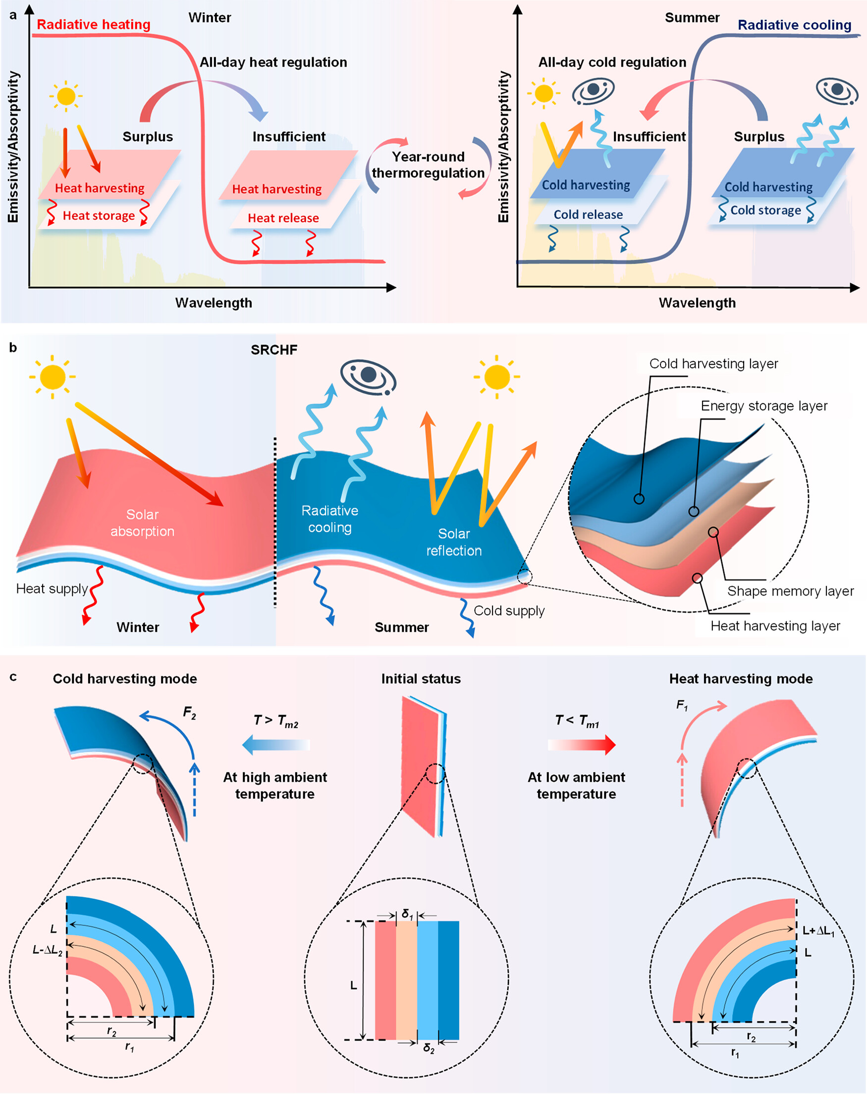 1772787117798151.jpeg 1.jpeg