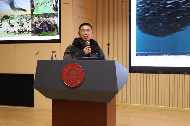 1774945688373896.jpg 图6 董伟副教授作报告_resized.JPG